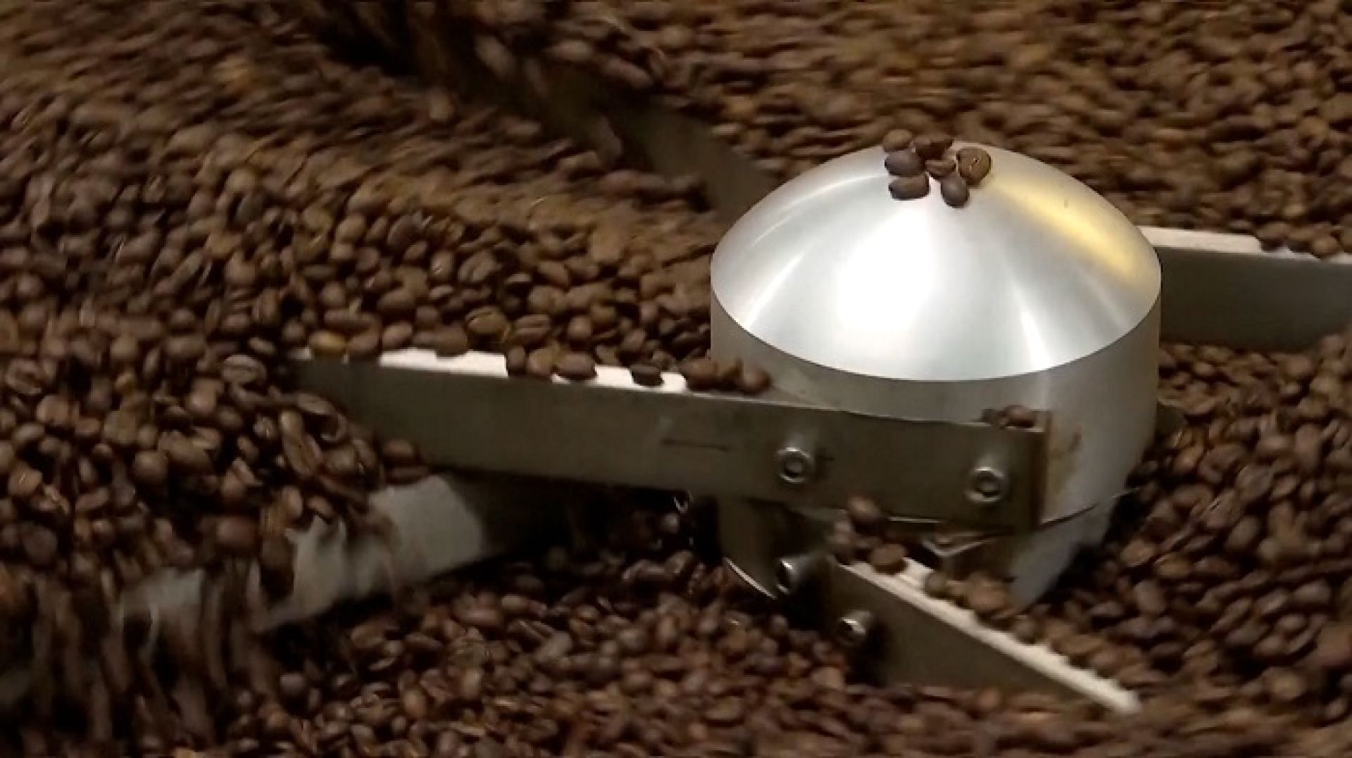 अन्तर्राष्ट्रिय बजारमा चिनियाँ युनान कफीको माग बढ्दो